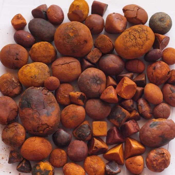 ox gallstones-8